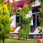 Hotel Commodore Elite & (adults Only) 5*