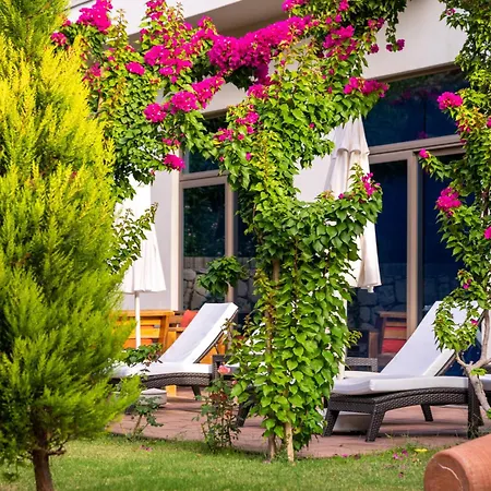 Отель Commodore Elite & (adults Only) 5*