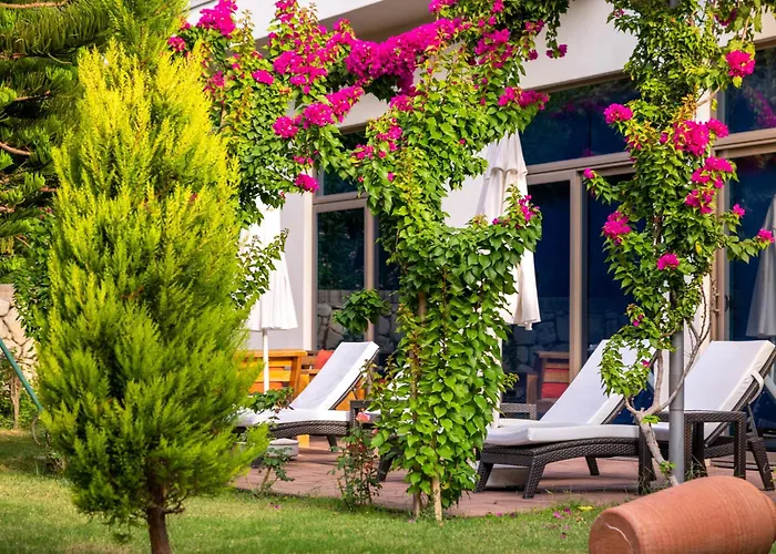 Отель Commodore Elite & (adults Only) 5*